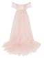 cheap Evening Dresses-A-Line Elegant Engagement Formal Evening Dress Sweetheart Neckline Sleeveless Court Train Tulle with Bow(s) Pleats 2022