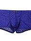 cheap Men&#039;s Exotic Underwear-Men&#039;s Normal Lace Boxers Underwear Stretchy Low Waist 1 PC Green S