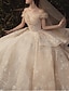 cheap Wedding Dresses-Ball Gown Wedding Dresses Off Shoulder Watteau Train Lace Short Sleeve Formal Romantic Wedding Dress in Color with Lace Insert 2021