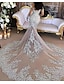 cheap Wedding Dresses-Sparkle &amp; Shine Formal Fall Wedding Dresses Mermaid / Trumpet High Neck Long Sleeve Chapel Train Lace Bridal Gowns With Lace Insert Appliques 2023 Summer Wedding Party, Women‘s Clothing