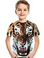 cheap Tees &amp; Shirts-Kids Toddler Boys&#039; Tee Short Sleeve Tiger Fantastic Beasts Color Block 3D Animal Print Brown Children Tops Active Basic Children&#039;s Day