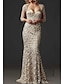 cheap Mother of the Bride Dresses-Mermaid / Trumpet Mother of the Bride Dress Elegant Sweetheart Neckline Floor Length Lace 3/4 Length Sleeve with Lace 2022