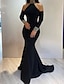 tanie Suknie wieczorowe-Syrena Suknia wieczorowa Elegancja Sukienka Zaręczynowy Kolacja oficjalna Tren sweep Długi rękaw Wysoki Satyna z Cekin 2024