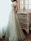 billiga Balklänningar-A-linje Kvälls klänningar Elegant Klänning Bröllopsgäst Förlovning Golvlång Kortärmad Över axeln Tyll med Paljett 2024