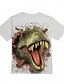 voordelige T-shirts &amp; Overhemden-Kinderen Jongens T-shirt Korte mouw Dinosaurus dier Opdruk Kinderen Tops Basic Wit