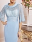 cheap Mother of the Bride Dresses-Sheath / Column Mother of the Bride Dress See Through Jewel Neck Knee Length Charmeuse Half Sleeve with Lace Sash / Ribbon 2023