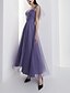 preiswerte Abendkleider-A-Linie Abendkleider Vintage Kleid Verlobung Knöchellänge Ärmellos Schatz Ausschnitt Tüll mit Plissee 2023