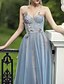 cheap Prom Dresses-A-Line Prom Dresses Sexy Dress Party Wear Floor Length Sleeveless Spaghetti Strap Tulle with Appliques 2023
