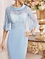 cheap Mother of the Bride Dresses-Sheath / Column Mother of the Bride Dress See Through Jewel Neck Knee Length Charmeuse Half Sleeve with Lace Sash / Ribbon 2023