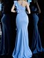 cheap Evening Dresses-Mermaid / Trumpet Evening Gown Elegant Dress Engagement Formal Evening Sweep / Brush Train Sleeveless One Shoulder Spandex with Ruffles 2024