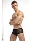 cheap Men&#039;s Exotic Underwear-Men&#039;s 1 Piece Mesh / Basic Boxers Underwear / Briefs Underwear - Normal Low Waist Black M L XL