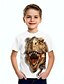 cheap Tops-Kids Boys&#039; T shirt Tee Short Sleeve Dinosaur Animal Print White Children Tops Summer Basic Cool