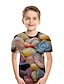 billige T-shirts og skjorter-Børn Drenge Gade 3D Kortærmet T-shirt Regnbue
