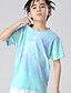 cheap Tees &amp; Shirts-Kids Boys&#039; Tee Short Sleeve Tie Dye Children Tops Basic Black Red Green