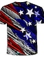 levne Pánská 3D trička-Pánské Unisex Trička Tričko Košile 3D tisk Grafika Peří Americká vlajka Den nezávislosti Vlajka Větší velikosti Kulatý Denní Dovolená Tisk Krátký rukáv Topy Šik ven Přehnaný Trávová zelená Vodn