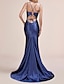 cheap Evening Dresses-Mermaid / Trumpet Evening Gown Beautiful Back Dress Engagement Formal Evening Sweep / Brush Train Sleeveless V Neck Charmeuse with Sleek 2024