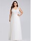 cheap Prom Dresses-A-Line Plus Size White Engagement Formal Evening Dress V Neck V Back Sleeveless Floor Length Lace with Lace Insert Appliques 2022