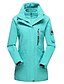 cheap Softshell, Fleece &amp; Hiking Jackets-Women&#039;s Hoodie Jacket Hiking Jacket Hiking 3-in-1 Jackets Fleece Winter Outdoor Thermal Warm Windproof Breathable 3-in-1 Jacket Top Single Slider Ski / Snowboard Climbing Camping / Hiking / Caving