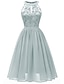billige Kjoler til bryllupgjest-a-line cocktailkjoler minimalistisk kjole festkjole bryllupsgjest kort / mini ermeløs halterhals blonder med folder 2024