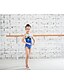 cheap Gymnastics-Rhythmic Gymnastics Leotards Gymnastics Leotards Boys&#039; Girls&#039; Dancewear Stretchy Handmade Sleeveless Training Competition Dance Rhythmic Gymnastics Athletic Artistic Gymnastics Royal Blue Red