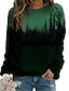 cheap Women&#039;s Hoodies &amp; Sweatshirts-Women&#039;s Hoodie Sweatshirt Pullover Casual Blue Green Gray Color Block Loose Fit Daily Round Neck Long Sleeve