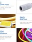 Χαμηλού Κόστους Neon LED Φώτα-φώτα λωρίδας LED neon 1m 2m 3m 4m 5m πολύχρωμα 2835 smd led ip65 αδιάβροχο εύκαμπτο φωτιστικό σιλικόνης με προσαρμογέα dc12v και κιτ διακόπτη dimmer για εσωτερική διακόσμηση σπιτιού
