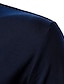 olcso klasszikus póló-Férfi POLO trikó Golfing Hétköznapi Napi Klasszikus gallér Legombolt gallér Hosszú ujj Utcai sikk Színes Gomb eleje Normál Poros kék POLO trikó