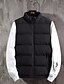 cheap Men&#039;s Outerwear-Men&#039;s Down Vest Regular Normal Coat Black Blue Red Dailywear Winter Standing Collar Regular Fit M L XL 2XL 3XL 4XL