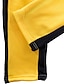 abordables chándal y sudadera con capucha para hombre-Hombre Tracksuit Sudadera Conjunto de Ropa Deportiva Sudadera Con Capucha Trajes para correr Negro Blanco Amarillo Rojo Gris Oscuro Con Capucha Color sólido Rayas Deporte Noche Ropa deportiva Ropa
