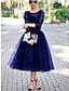 cheap Wedding Guest Dresses-A-Line Elegant Vintage Wedding Guest Prom Dress Jewel Neck 3/4 Length Sleeve Ankle Length Tulle with Pleats Lace Insert 2022