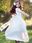 cheap Flower Girl Dresses-Wedding Princess Floor Length Lace Tulle Fall Winter Flower Girl Dresses with Tier Flower Kids Little Cute Girls&#039; Dress Fit 3-14 Years Size 4/Size 6/Size 8 / First Communion