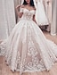 cheap Wedding Dresses-Engagement Formal Fall Wedding Dresses Ball Gown Off Shoulder Cap Sleeve Chapel Train Lace Bridal Gowns With Pleats Appliques 2023 Summer Wedding Party, Women‘s Clothing