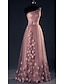 cheap Prom Dresses-A-Line Prom Dresses Elegant Dress Wedding Guest Prom Floor Length Sleeveless One Shoulder Tulle with Appliques 2024