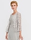 cheap Mother&#039;s Wraps-Women&#039;s Wrap Bolero Elegant 3/4 Length Sleeve Lace Wedding Wraps With Lace For Wedding Spring &amp; Summer