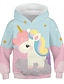 cheap Girls&#039; Tees &amp; Blouses-Kids Girls&#039; Hoodie &amp; Sweatshirt Long Sleeve Blushing Pink Unicorn Print Graphic Color Block 3D Active Basic
