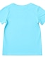 levne T-kusy a košile-Děti Chlapecké Tričko Košilky Krátký rukáv Písmeno Zvíře Tisk Děti Topy Aktivní Základní Černá Vodní modrá Žlutá