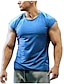 preiswerte Fitness Tank-Tops-Herren T Shirt Funktionsshirt Glatt Rundhalsausschnitt Casual Festtage Kurzarm Bekleidung Sport Modisch Leicht Muskel