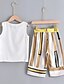 cheap Girls&#039; Clothing Sets-Kids Girls&#039; Clothing Set Sleeveless 2 Pieces White Print Striped Daily Wear Cotton Regular Active