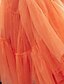 cheap Prom Dresses-A-Line Empire Sexy Holiday Prom Dress Spaghetti Strap Sleeveless Sweep / Brush Train Tulle with Pleats 2021
