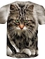 billige 3d-t-skjorte for menn-Herre T skjorte Skjorte T-skjorter Grafisk Dyr Katt 3D Rund hals Blå Kakifarget Grå 3D-utskrift Fest Innendørs Kortermet Trykt mønster Klær Elegant og moderne