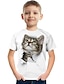 preiswerte 3D-T-Shirts für Jungen-Kinder Jungen T-Shirt T-Shirt Kurzarm Katze Dinosaurier Grafik 3D-Druck Tier Schule Kinder Tops aktive weiße Katze hellweiße weiße Katze