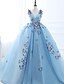 cheap Quinceanera Dresses-Ball Gown Prom Dresses Luxurious Dress Engagement Prom Court Train Sleeveless V Neck Tulle with Pleats Appliques 2024