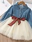 cheap Girls&#039; Dresses-Kids Little Dress Girls&#039; Solid Color Outdoor Denim Dress Tulle Light Blue Active Casual Comfortable Dresses Fall Spring Children&#039;s Day 2-6 Years / Cute