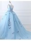 cheap Quinceanera Dresses-Ball Gown Prom Dresses Luxurious Dress Engagement Prom Court Train Sleeveless V Neck Tulle with Pleats Appliques 2024