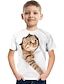 Χαμηλού Κόστους αγορίστικα 3d μπλουζάκια-παιδικά αγόρια μπλουζάκι μπλουζάκι γάτα δεινόσαυρος γραφικό 3d εκτύπωση σχολείο ζώων παιδικές κορυφές ενεργό λευκή γάτα φωτεινή λευκή γάτα
