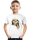 Χαμηλού Κόστους αγορίστικα 3d μπλουζάκια-παιδικά αγόρια μπλουζάκι μπλουζάκι γάτα δεινόσαυρος γραφικό 3d εκτύπωση σχολείο ζώων παιδικές κορυφές ενεργό λευκή γάτα φωτεινή λευκή γάτα