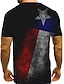 levne pánské 3D tričko-Pánské Košile Tričko Trička Grafické tisky Americká vlajka Den nezávislosti Vlastnosti Kulatý Černá Vodní modrá Hnědá 3D tisk Denní Dovolená Krátký rukáv Tisk Oblečení Designové Na běžné nošení Velk