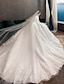 preiswerte Hochzeitskleider-Verlobung Ausgefallene Hochzeitskleider Ballkleid Illusionsausschnitt Langarm Kathedralen Schleppe Spitze Brautkleider Mit Plissee Applikationen 2024