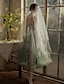 cheap Prom Dresses-A-Line Prom Dresses Elegant Dress Wedding Guest Birthday Tea Length Sleeveless Spaghetti Strap Tulle with Sash / Ribbon Pleats 2024