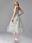 cheap Prom Dresses-A-Line Prom Dresses Elegant Dress Wedding Guest Engagement Tea Length Sleeveless Jewel Neck Chiffon with Lace Insert Appliques 2024